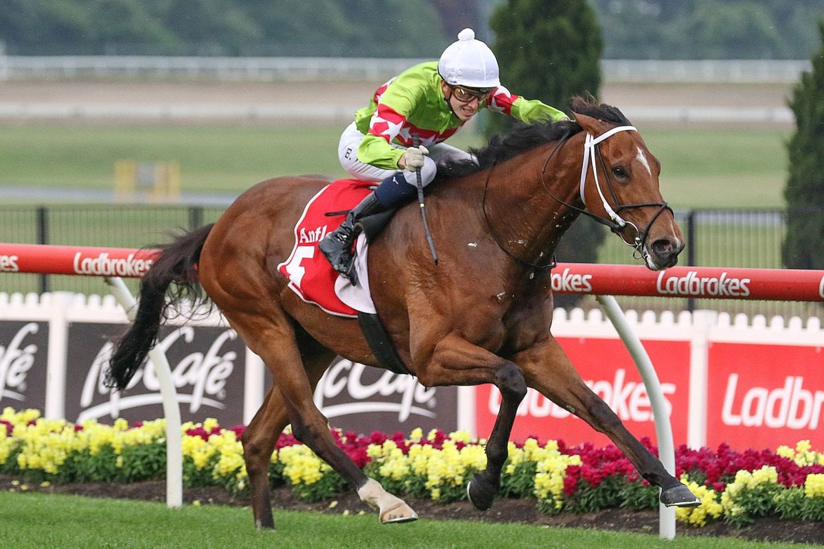 Sansom wins fresh-up at the Valley