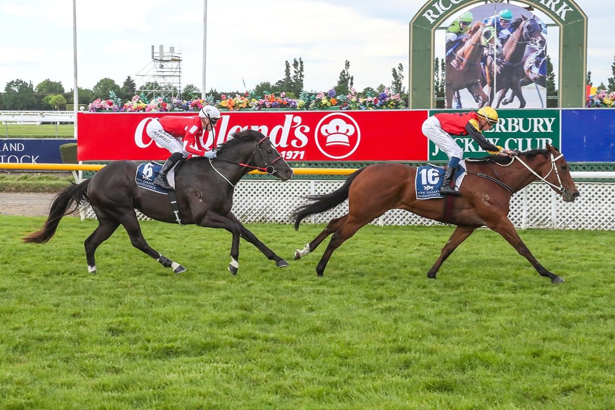 Weight relief for Sheezallmine