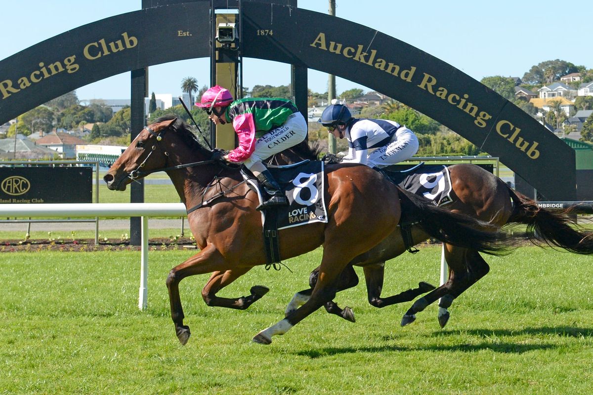 Super Saturday for Collett