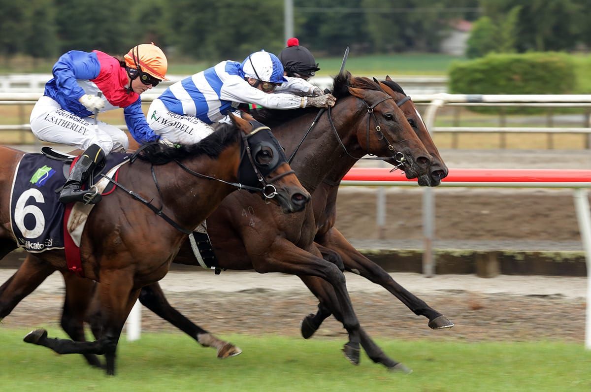 Supera out of Livamol