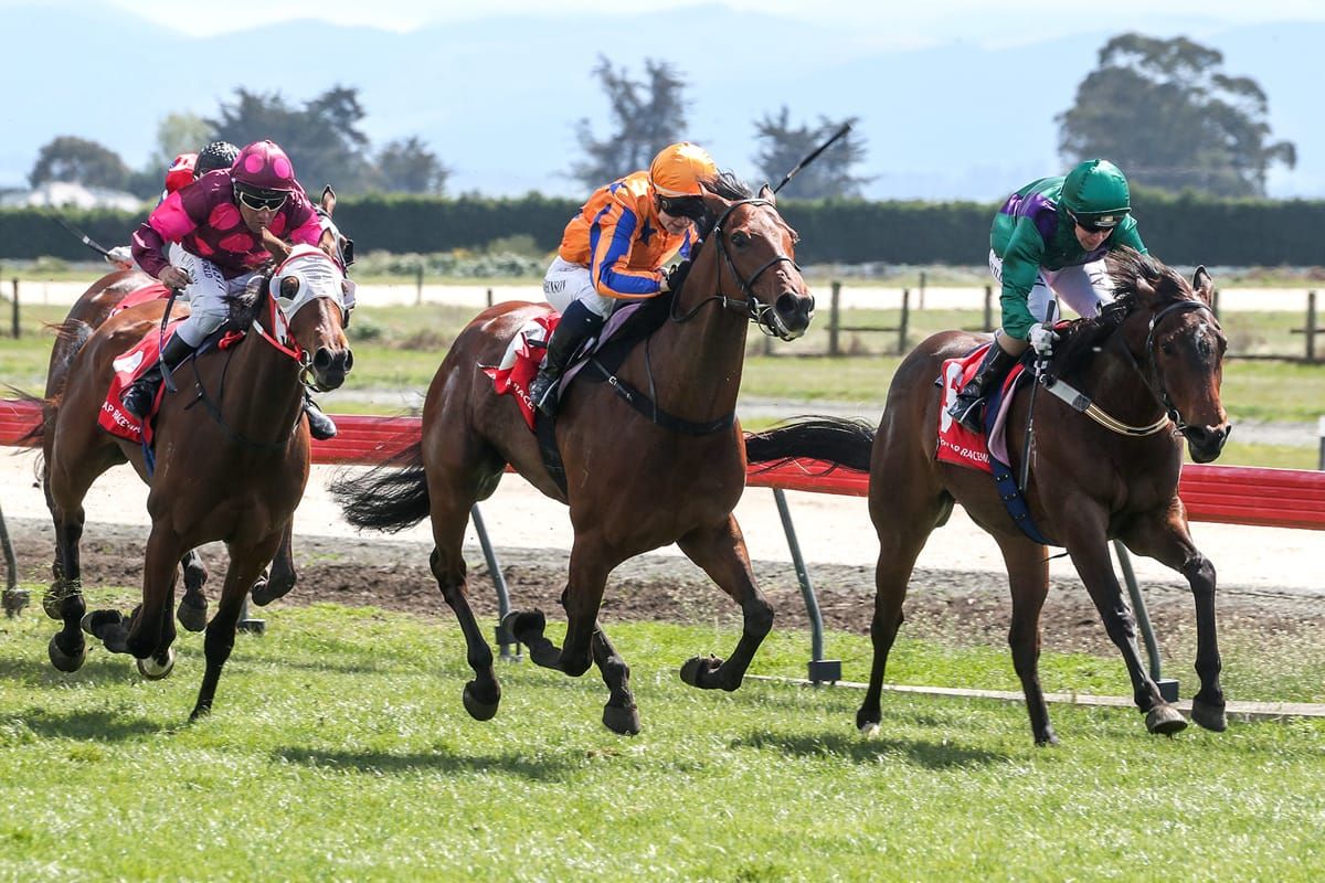First NZ winner for Mongolian Khan