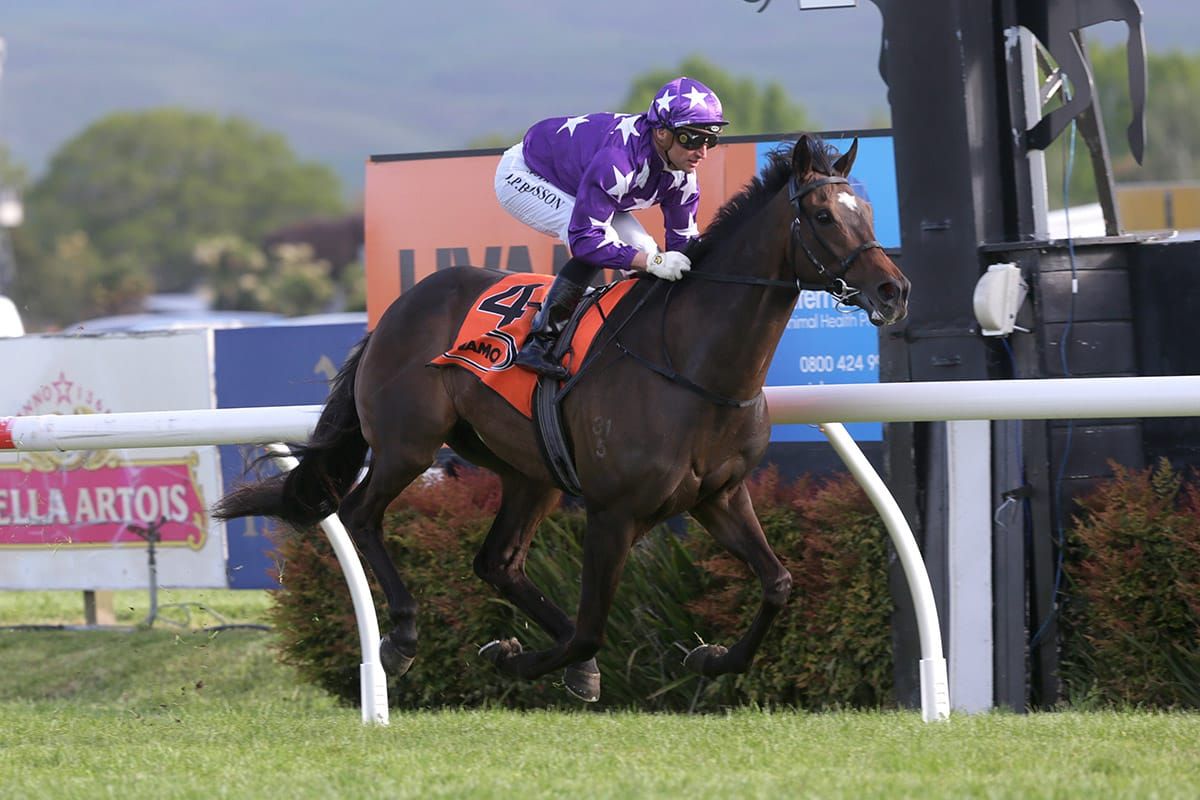 Swords Drawn ready to go to the next level