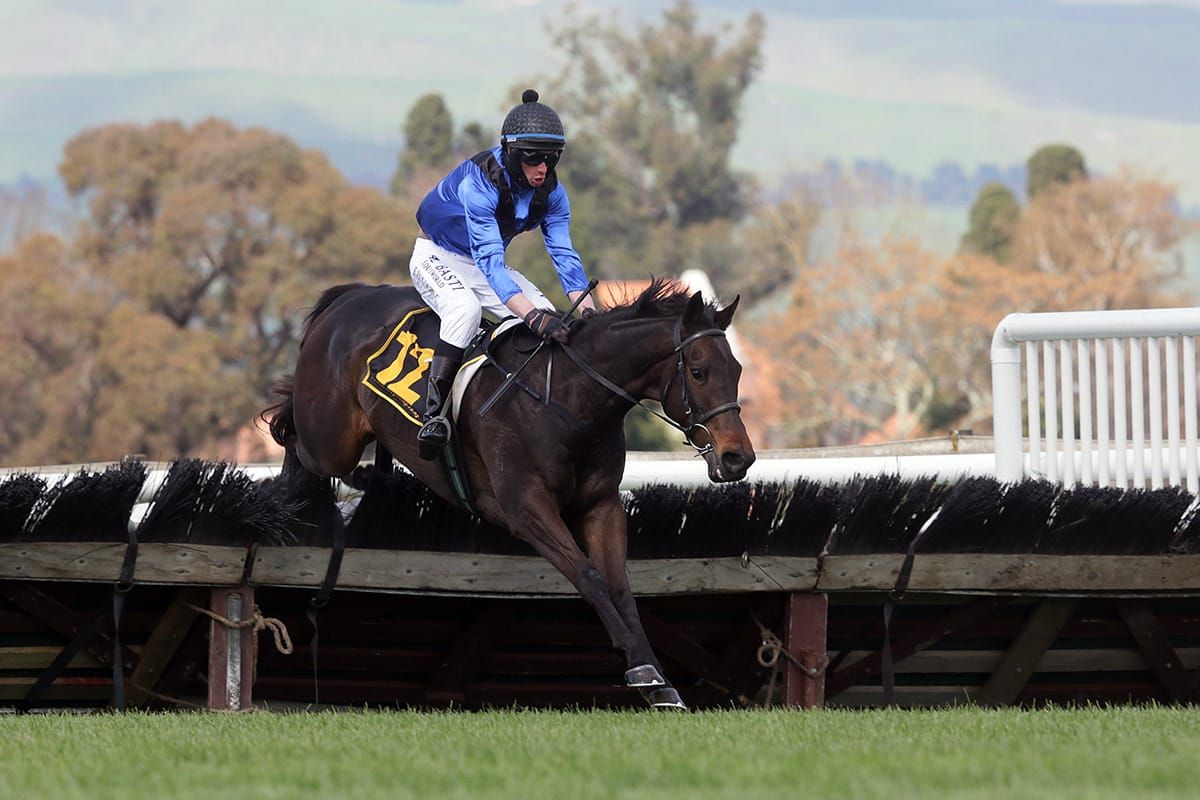 A stable shift for promising jumper