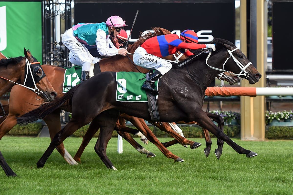 Cup contender in action