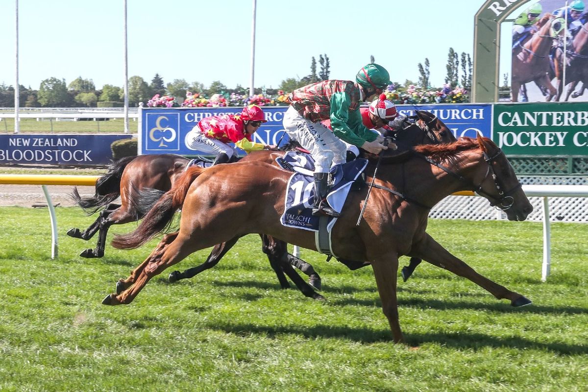 Vitesse Bo shapes as serious Guineas contender
