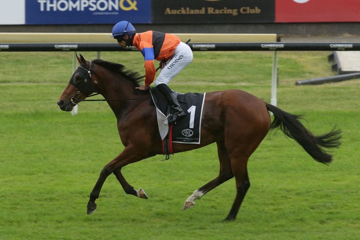 Abu Dhabi out for elusive maiden victory