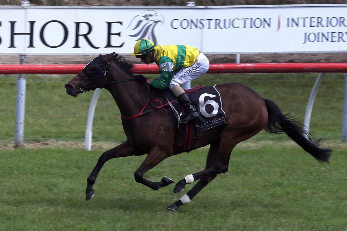 Concert Hall caps superb week for Cambridge pair