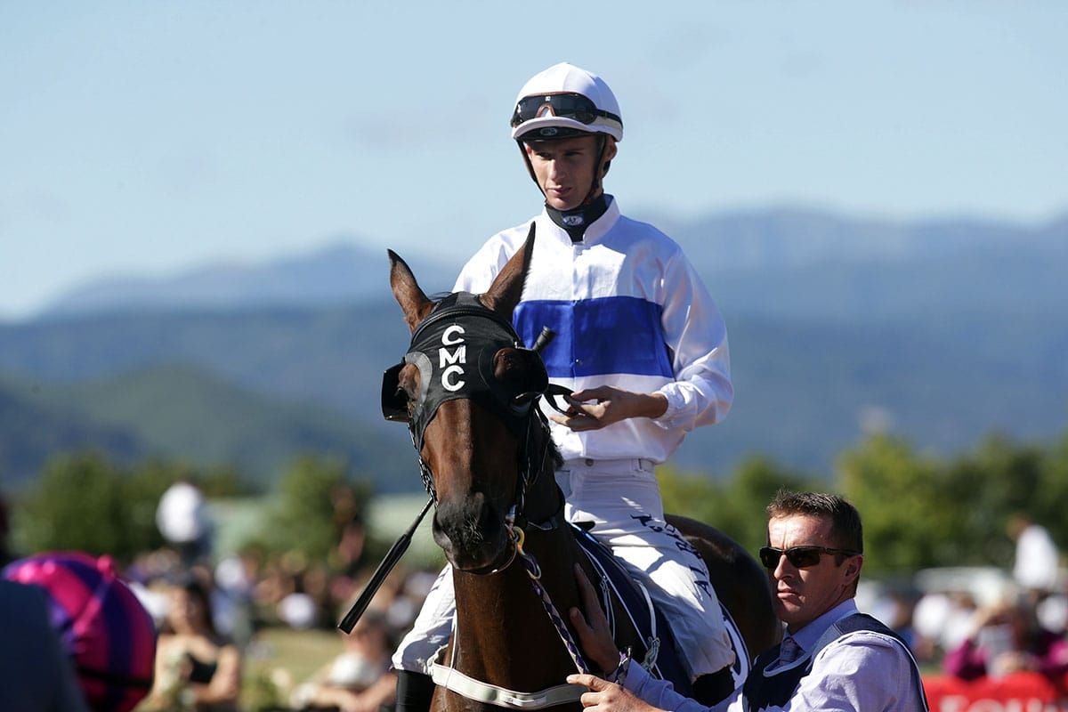 Cup challenge for in-form mare