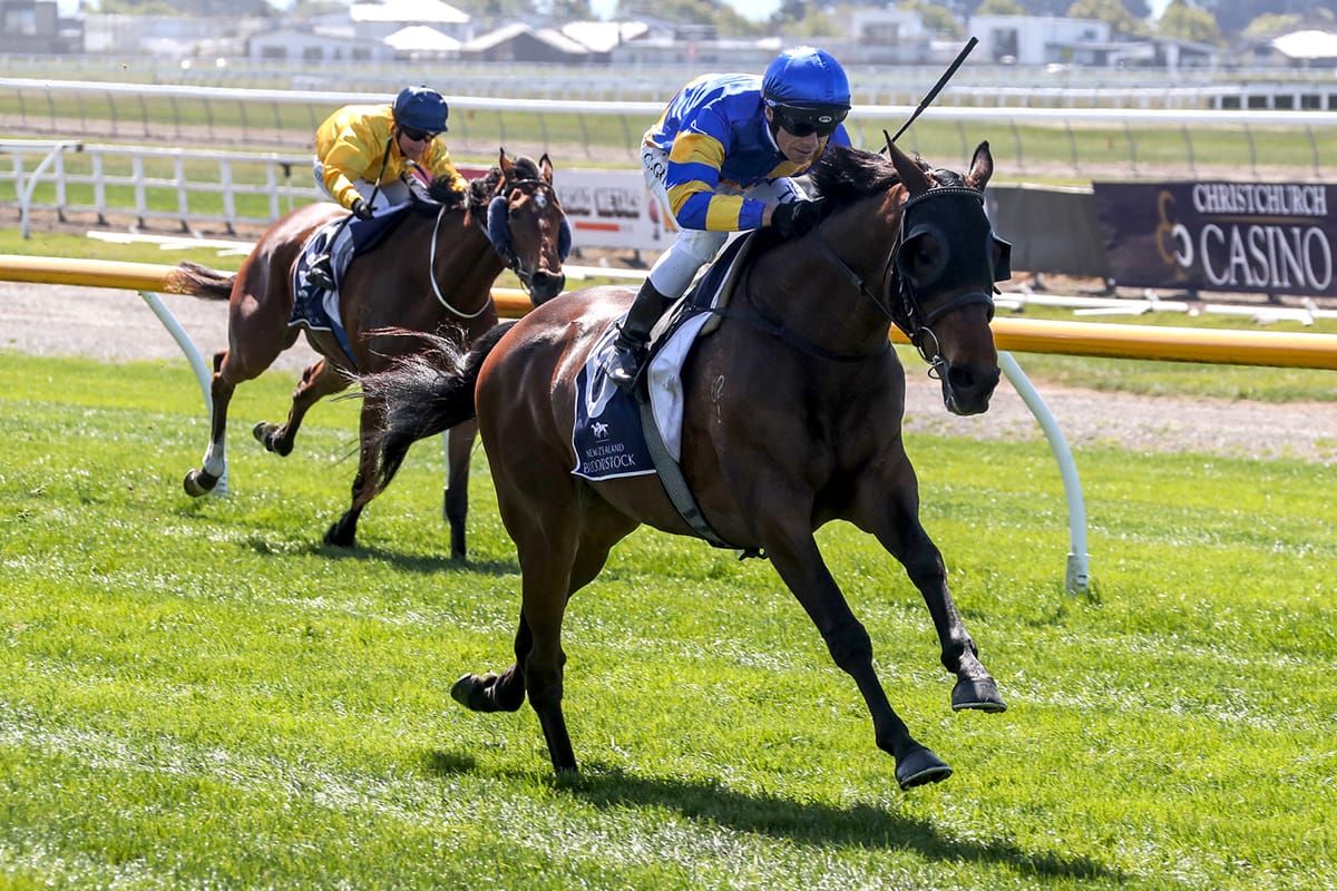 Gibbs in search of NZ Cup with promising stayer