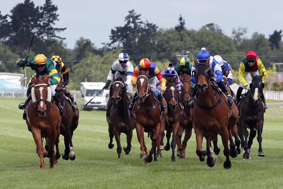 Bright future predicted for impressive Pukekohe winner