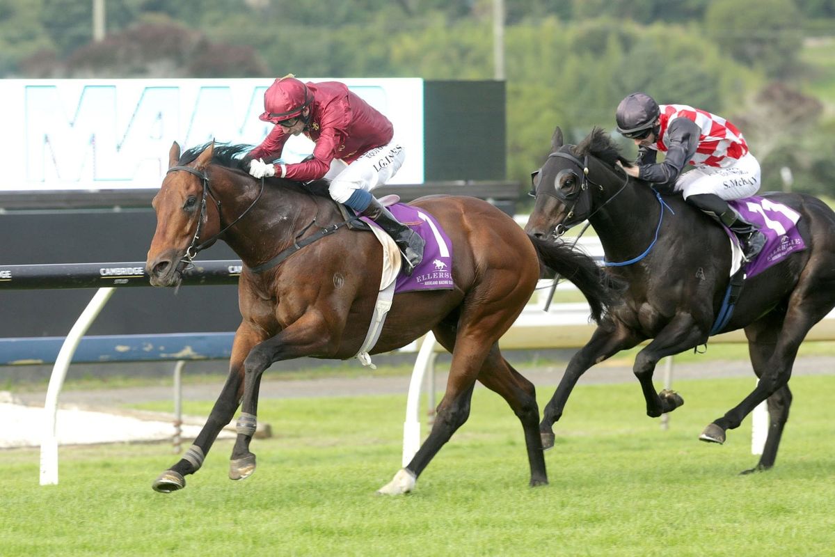 Counties Bowl for Endless Drama