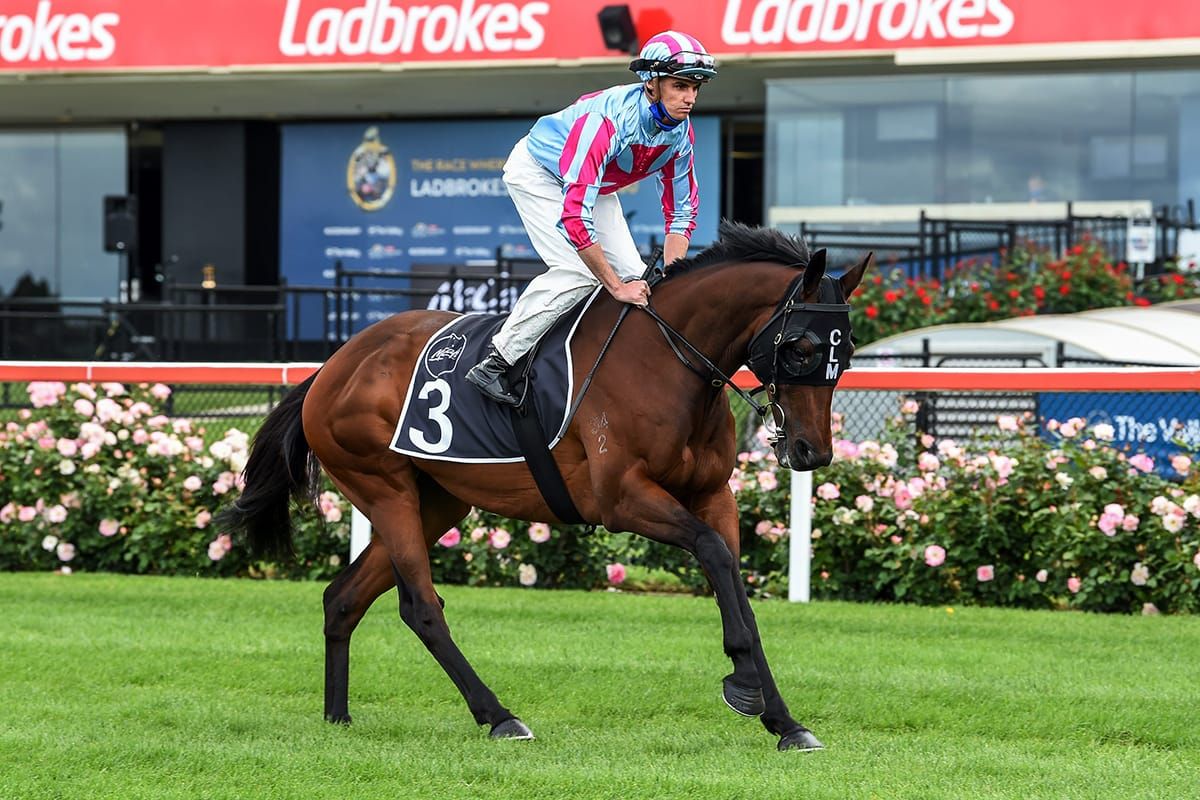 Famous name back at Flemington for shot at Cup glory