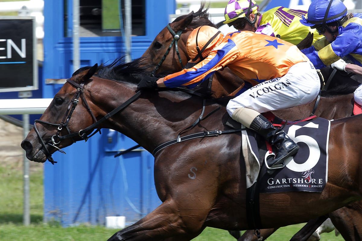 Winning Tauranga treble for revitalised Colgan