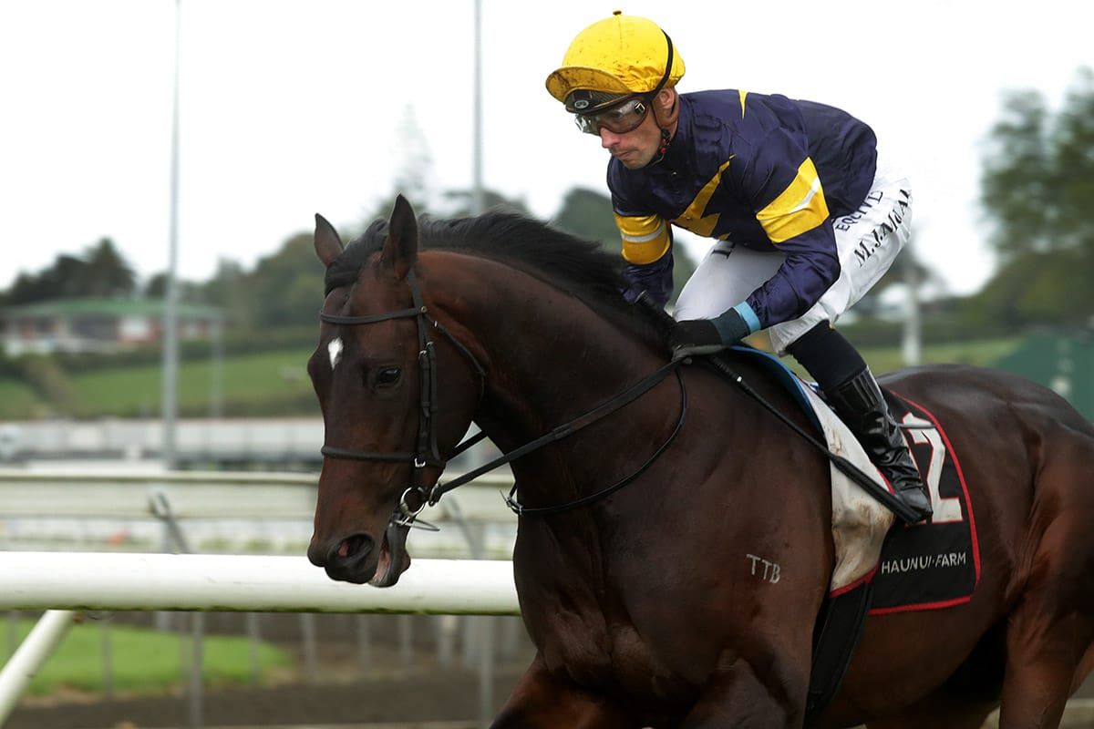 Promising 3YO getting a Grip on things