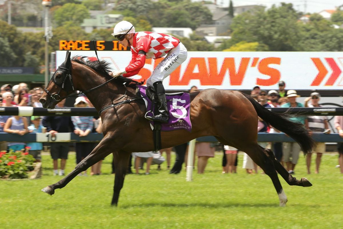 Hypnos out to mesmerise opposition