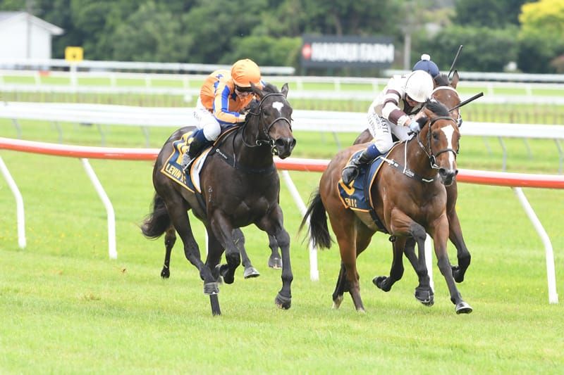 Fifth 2YO winner for Richards