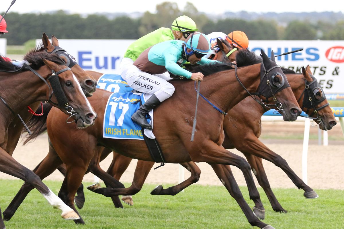 Kiwis claim Ballarat Cup with Irish Flame