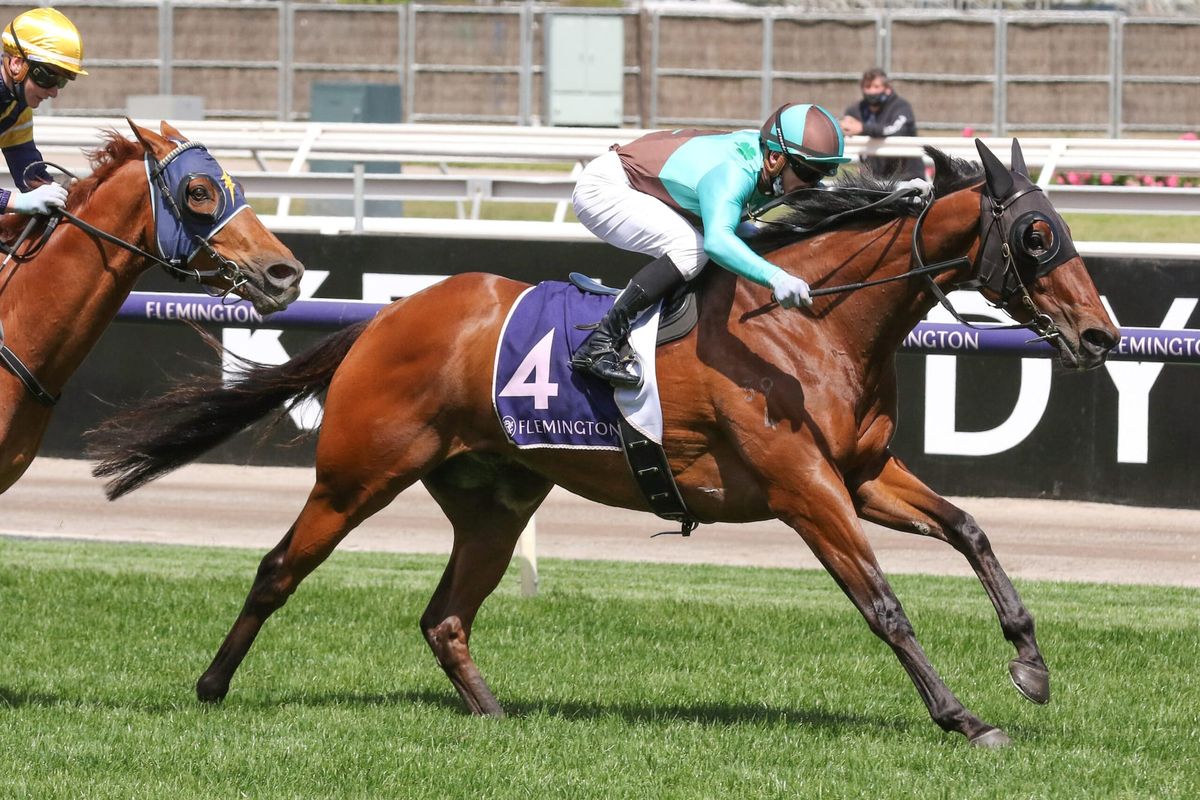 Luck of the Irish for Kiwis