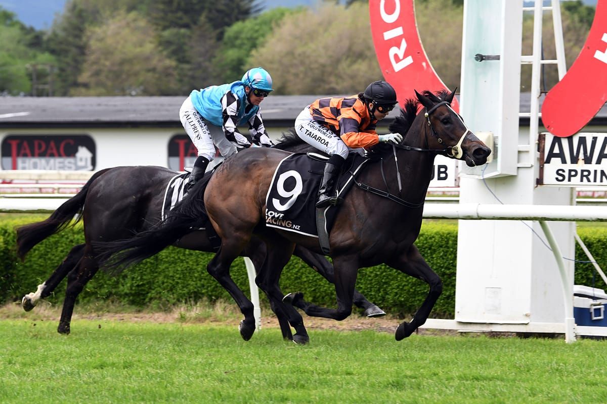 Fabulous result for valuable mare