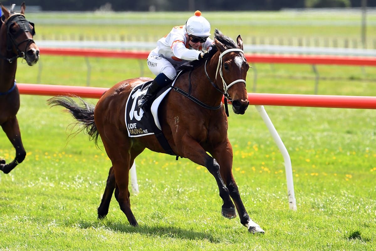 Toughness the key to talented filly
