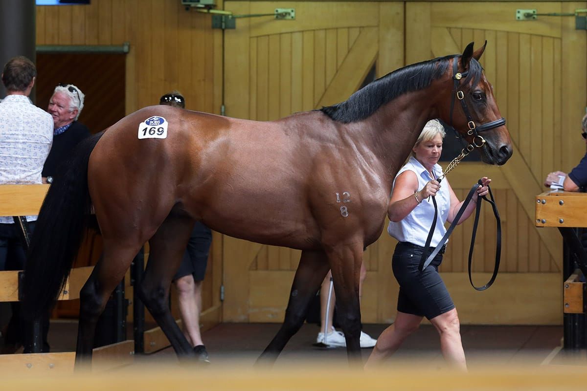 Bell secures his pick of RTR Sale