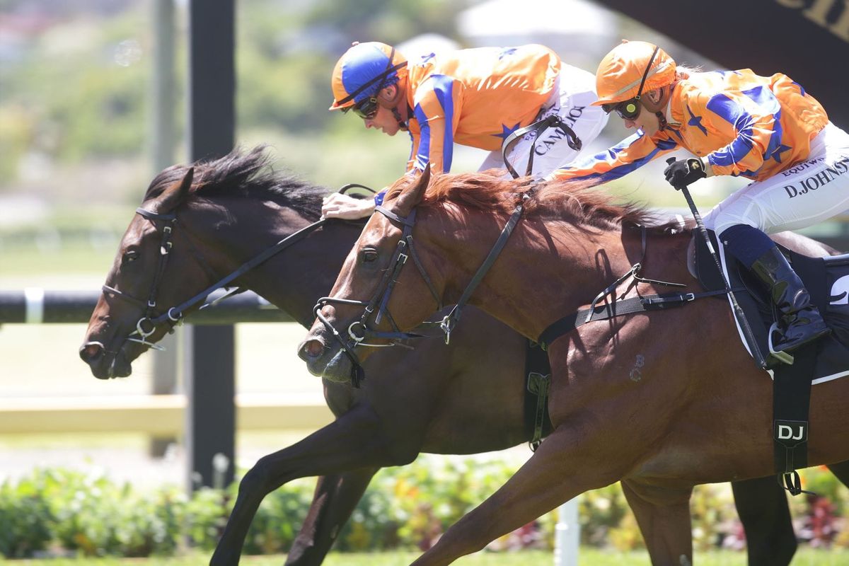 Te Akau Racing quinella Ellerslie two-year-old contest
