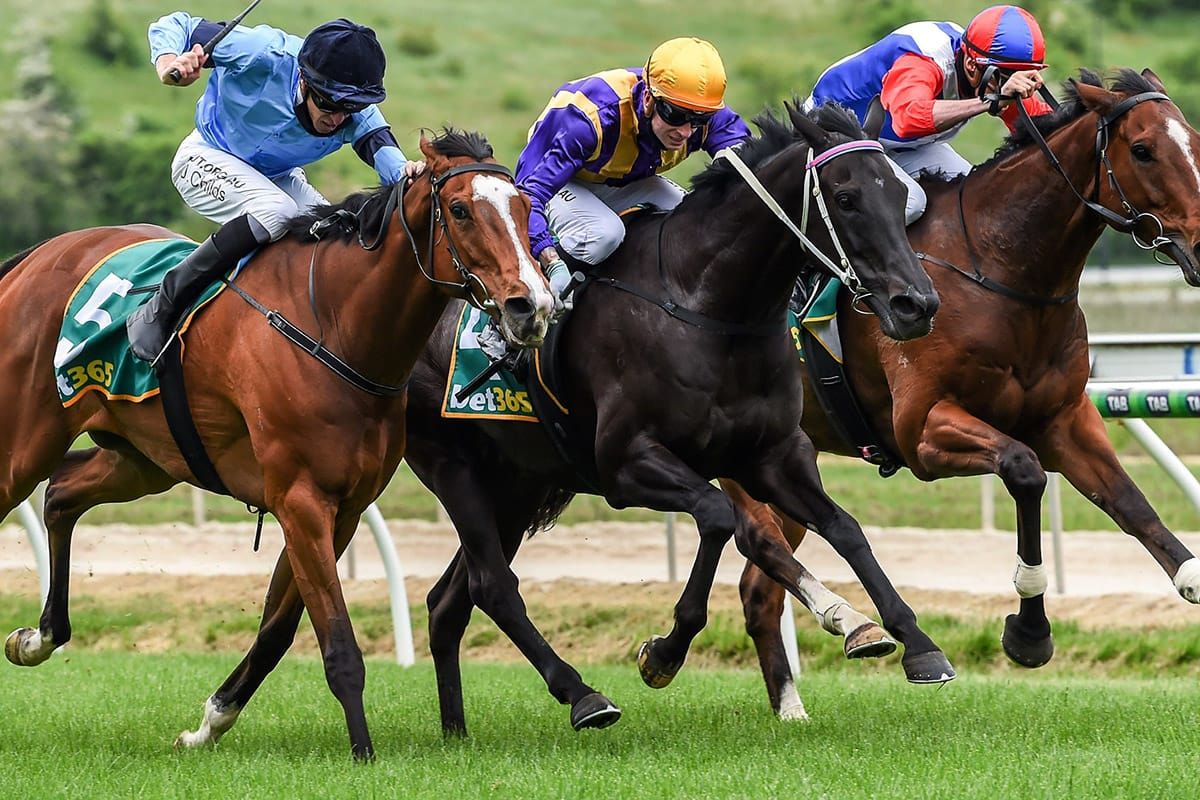 Ballarat Cup aim for Mongolian Marshal