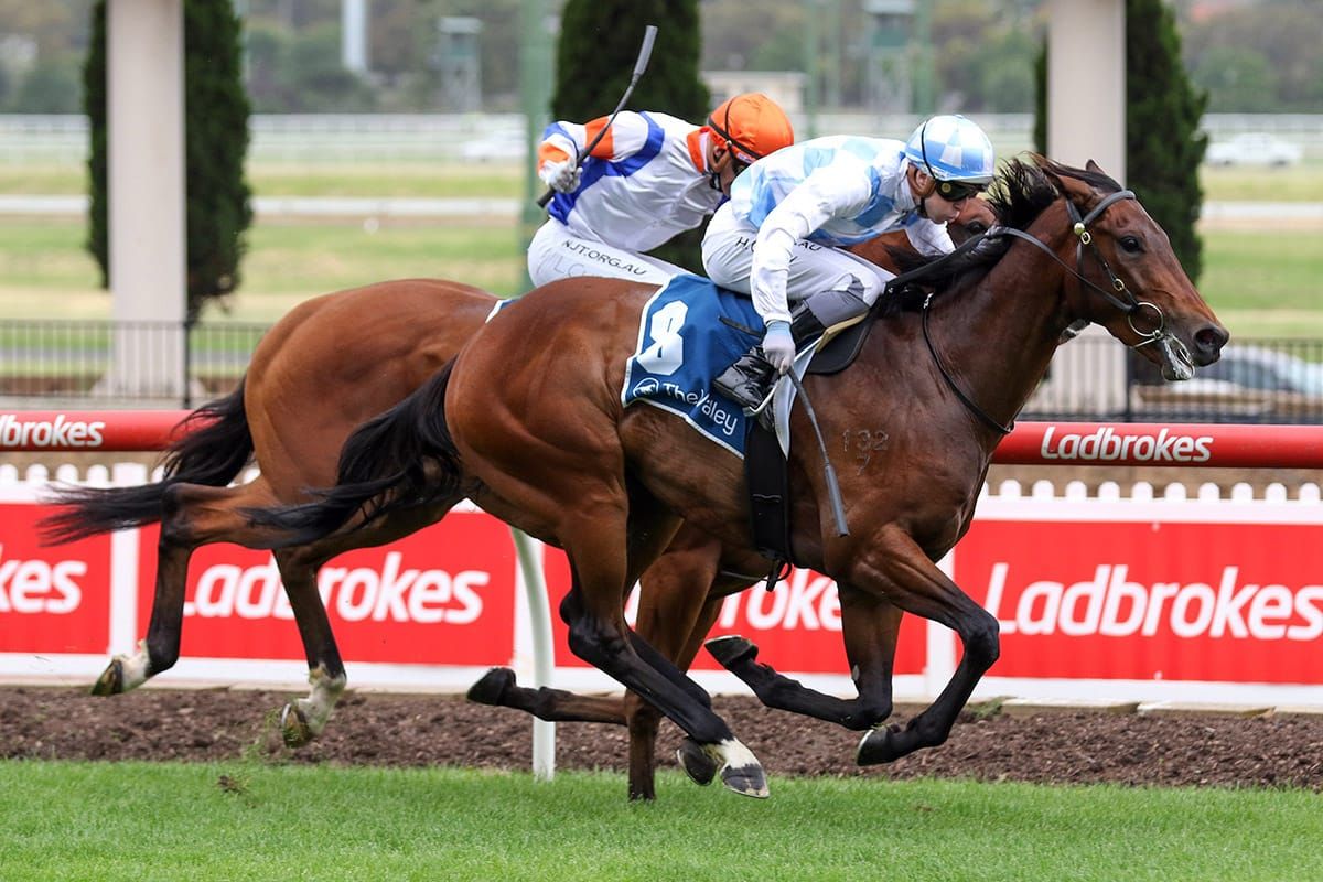 Stakes success for in-form Bowman