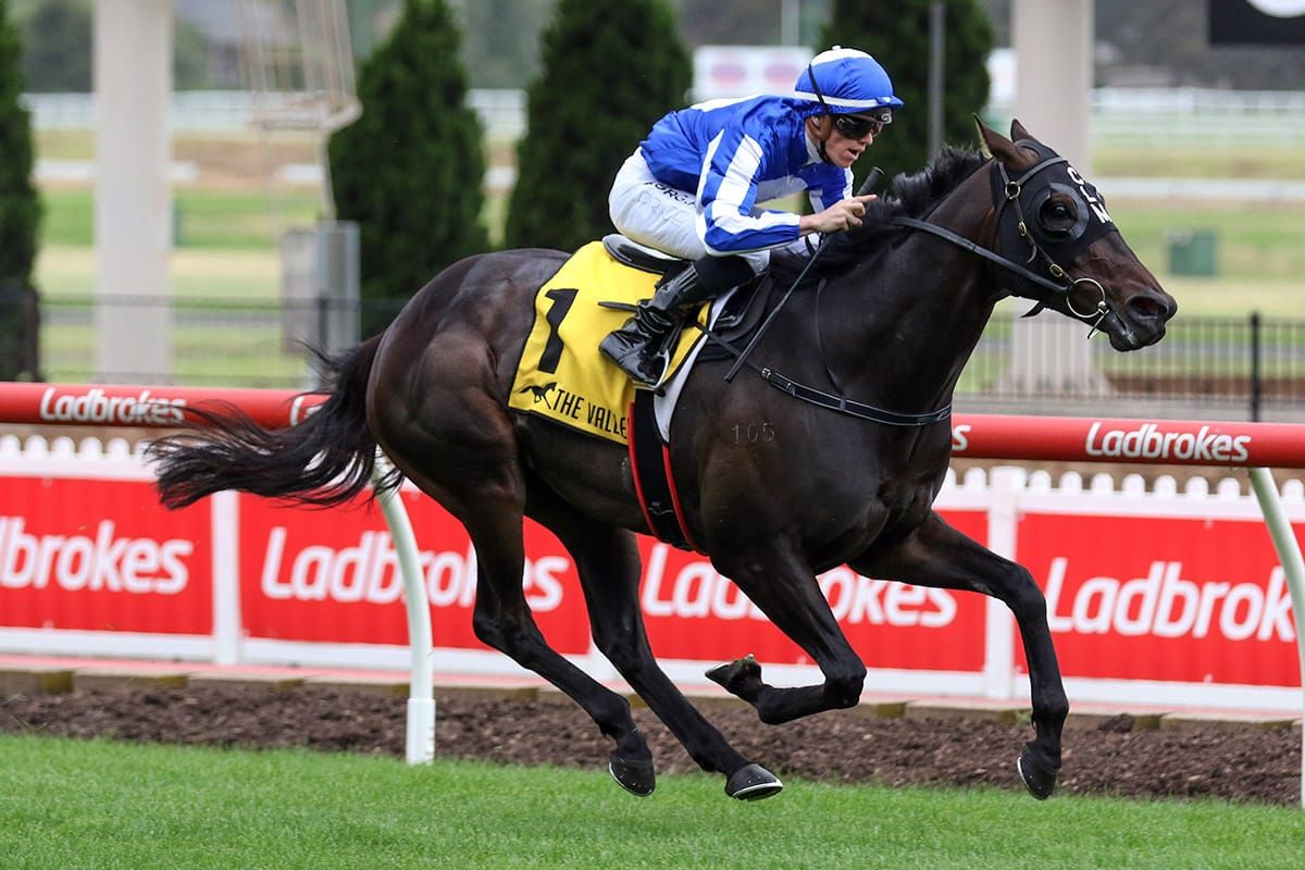 Apprentice notches century with Ocean’s Thirteen