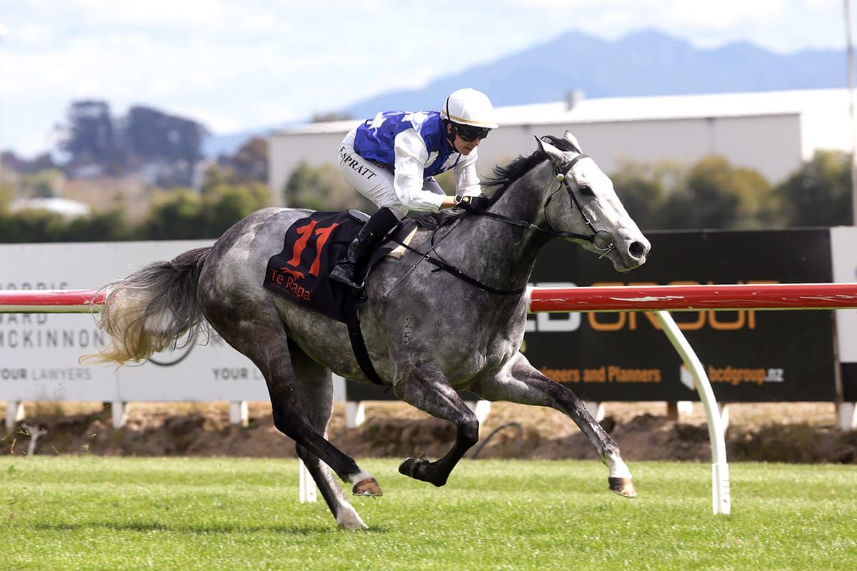 First stakes tilt for talented mare