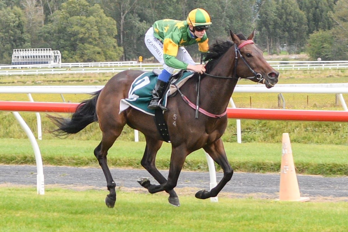 Team Anderton head south