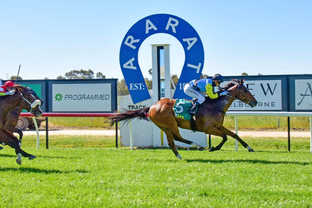 Portland Jimmy wins Ararat Cup