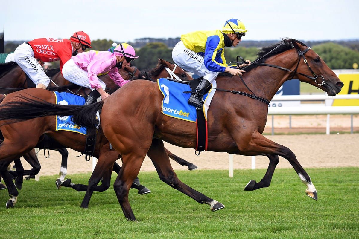Riding The Wave impressive at Ballarat