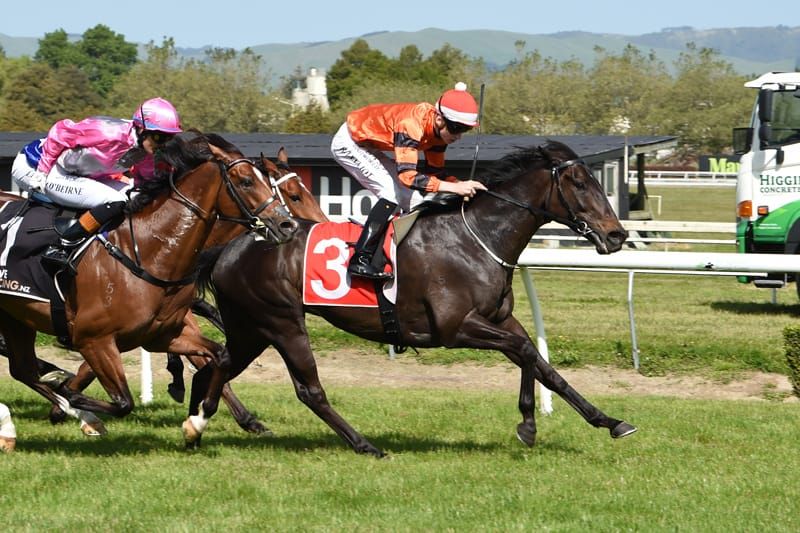 Awapuni race to fine-tune Rock On Wood for Group One target