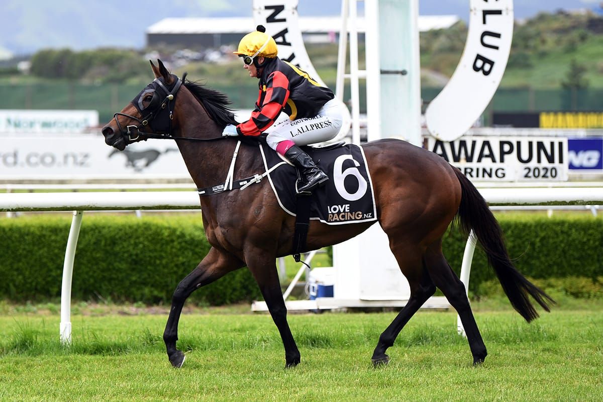 Shezzacatch remains unbeaten with solid showing at Awapuni