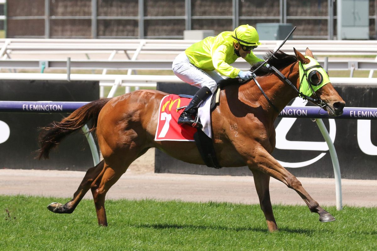 Sandown Cup aim for Sin To Win