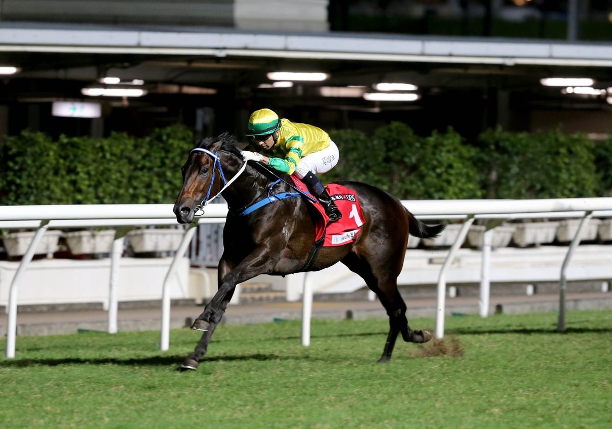 Sky Darci is primed for strong return