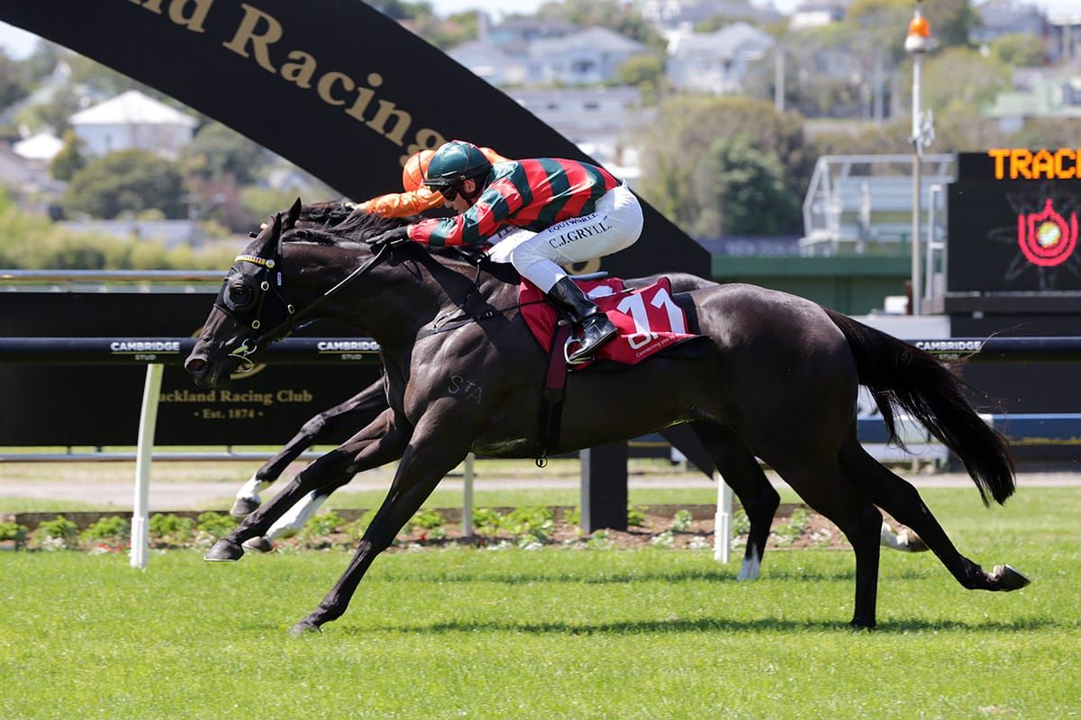 Wexford bringing the heat to Te Rapa