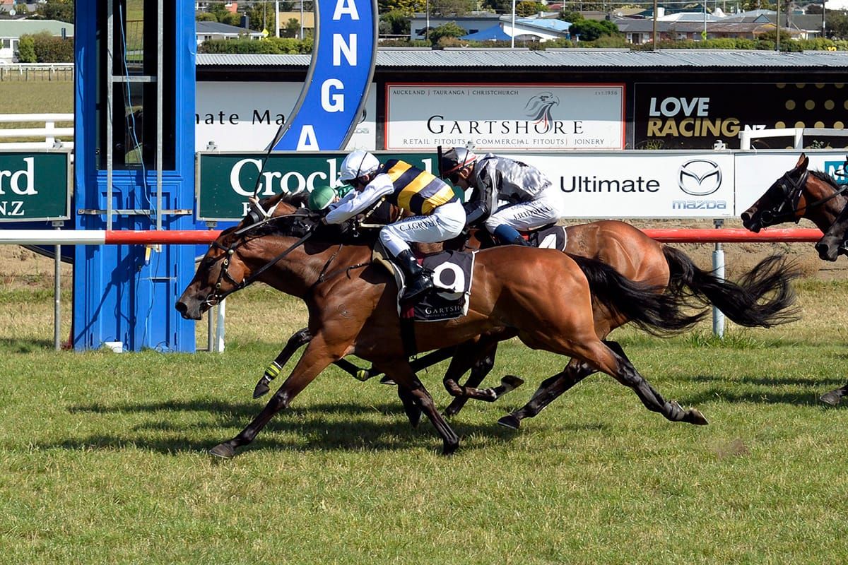 Quality book lures Satherley south