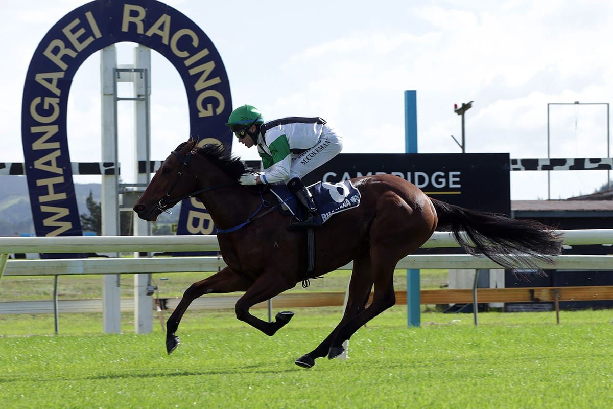 Wekas set for a good gallop at Riccarton