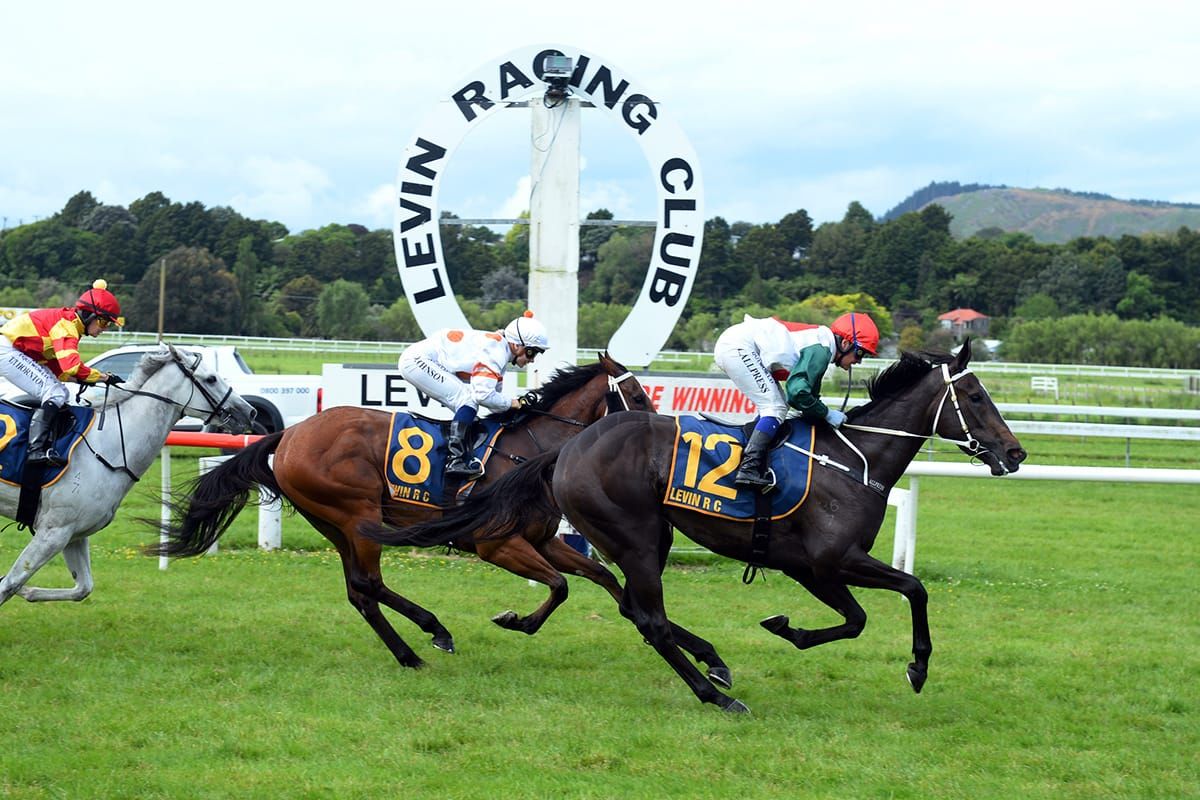 Marsh continues hot-streak in Otaki feature