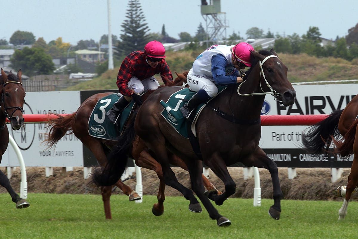 New ownership concept quickly into stride