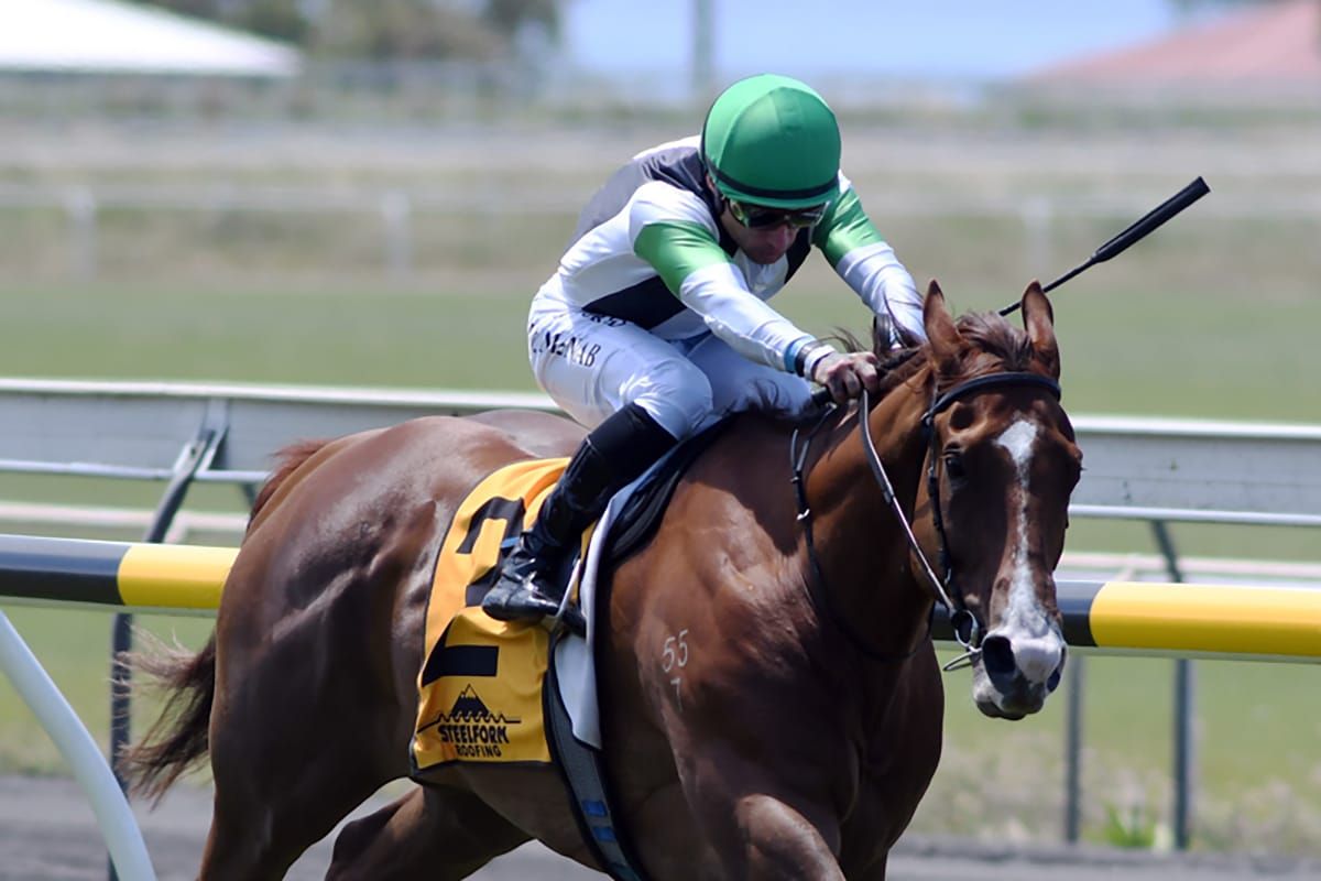 Pre-race scare not enough to stop promising maiden