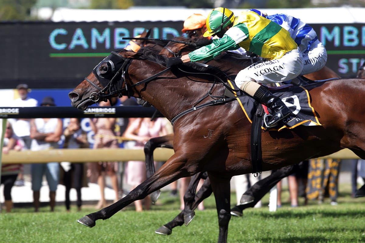 Concert Hall gets maiden Group One success