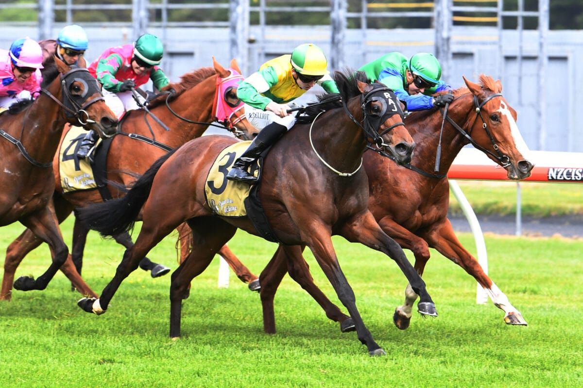 Concert Hall primed for Zabeel Classic