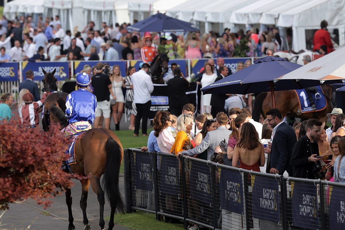 Positive steps for Auckland merger