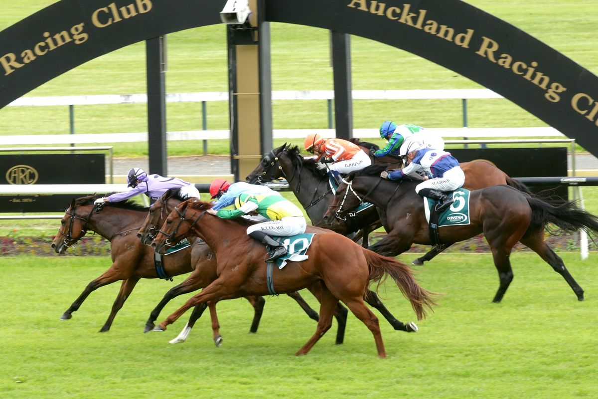 Fleetwood Maca out for crowning glory