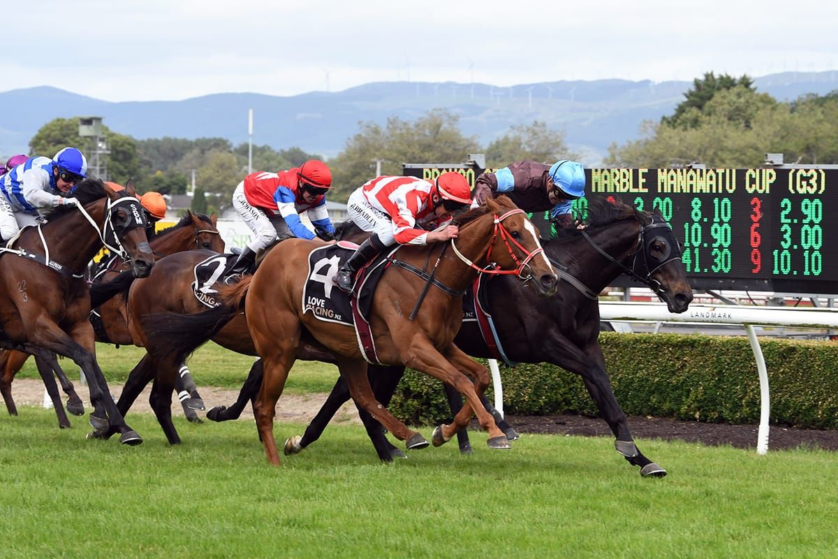 Thrilling finish to Manawatu Cup