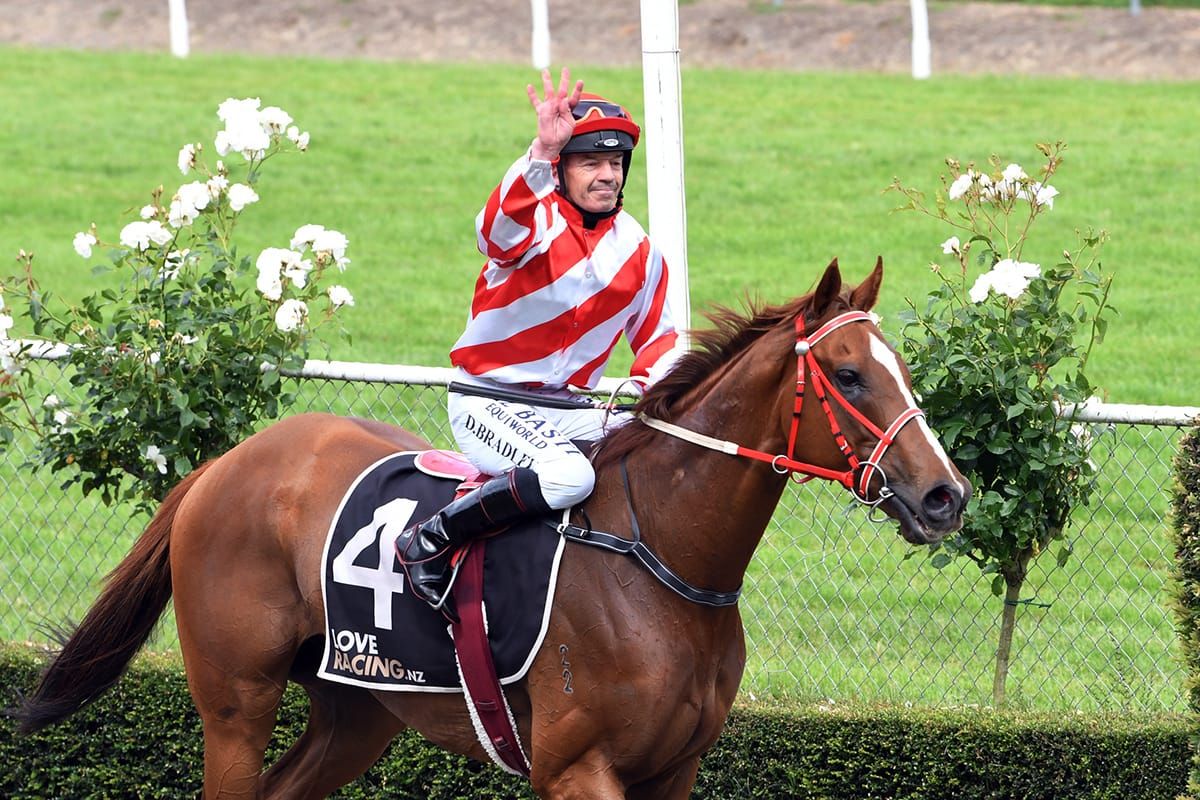 Multiple career options working well for Bradley