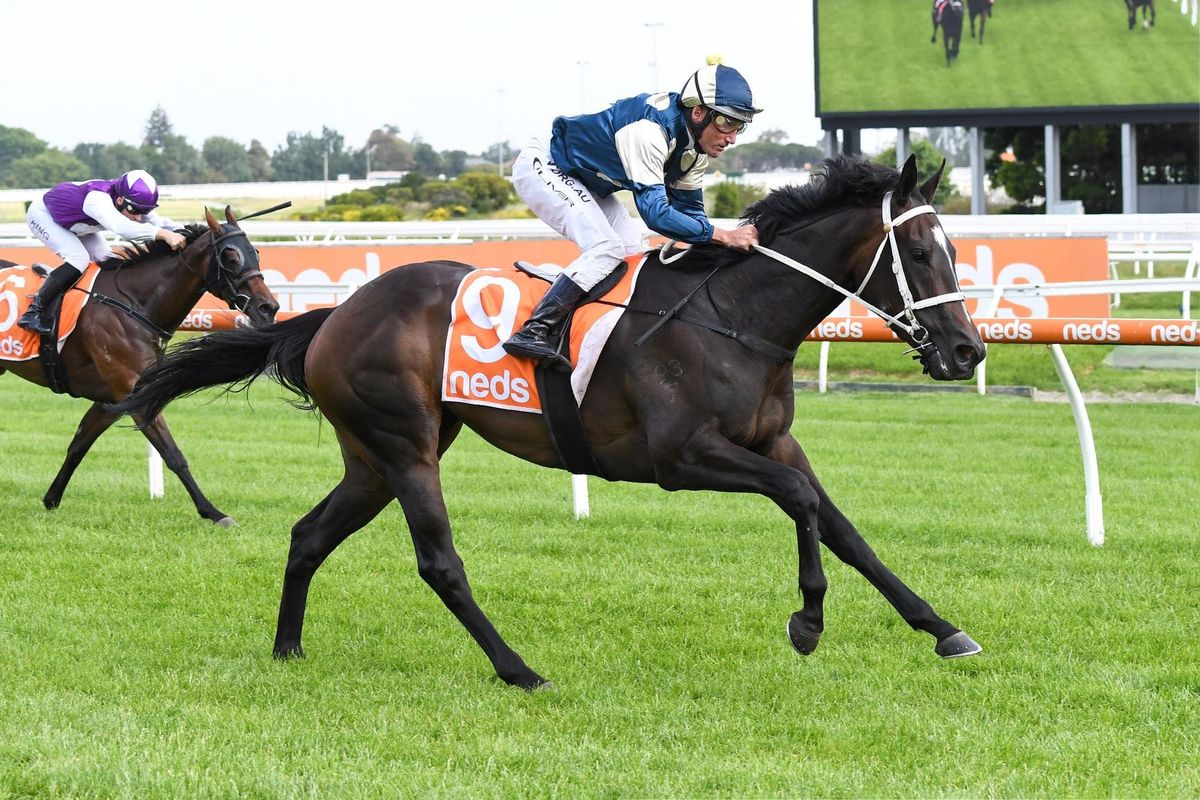 Impecunious off the mark at Caulfield